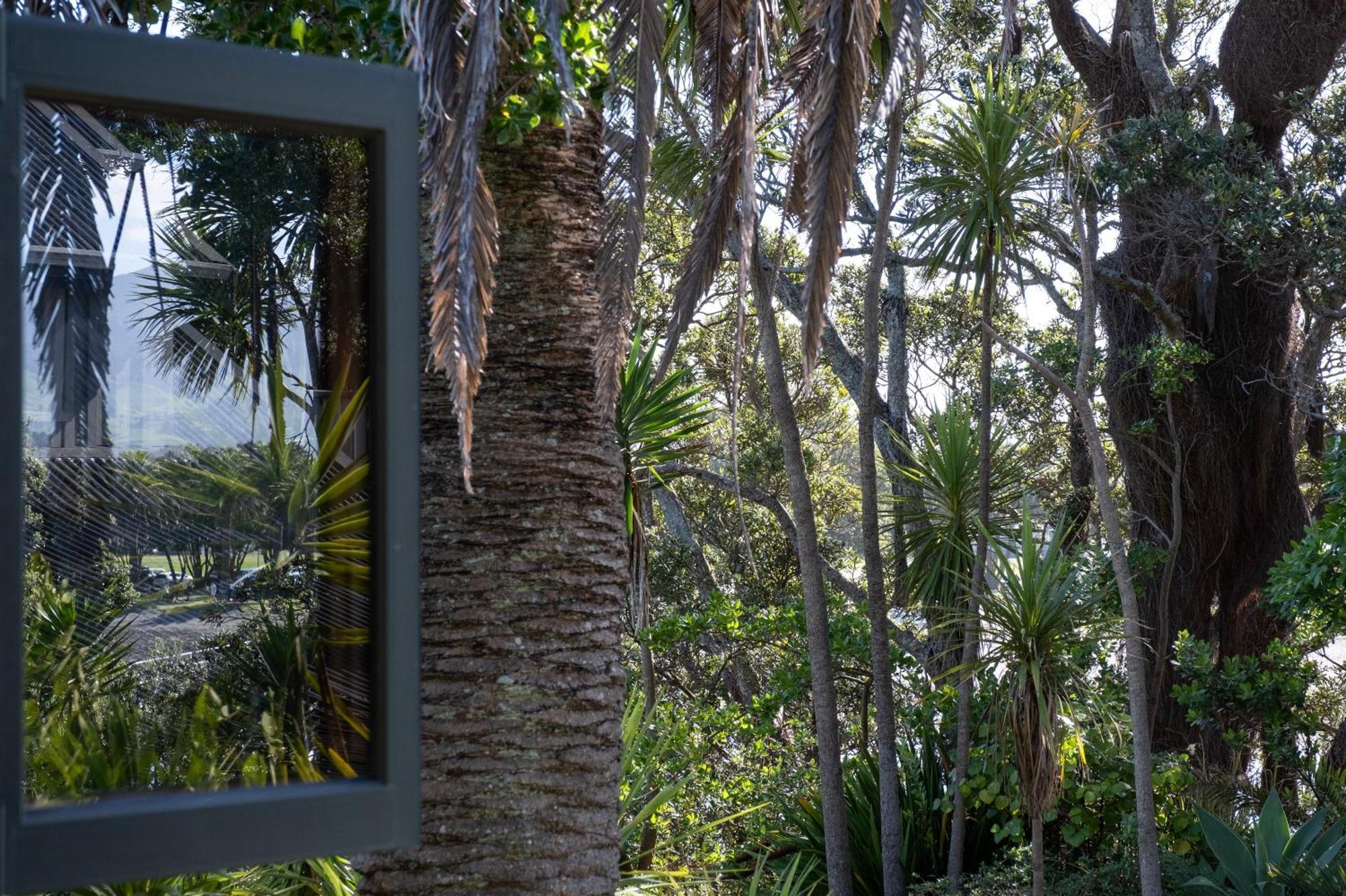 Bow Street Apartments & Cottage Raglan Εξωτερικό φωτογραφία